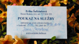 POUKAZ NA SLUŽBY NABÍZENÉ NA www.celostni-lecba.cz v hodnotě 8000,- Kč